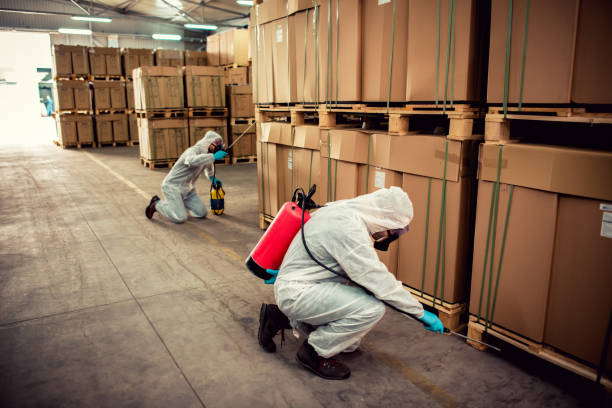 Best Emergency Pest Control  in Hale Center, TX