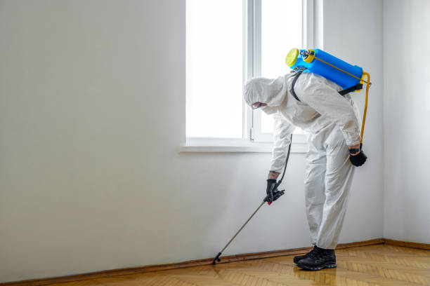 Best Cockroach Control Services  in Hale Center, TX